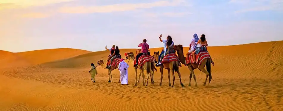 What to Expect on Your Desert Safari