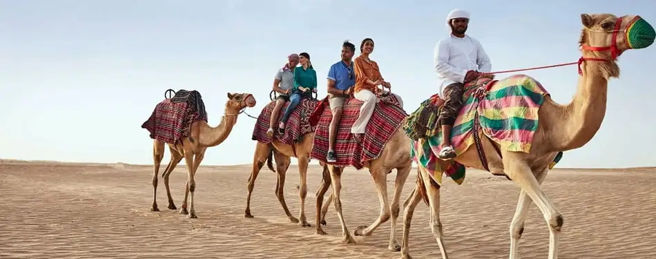 Camel Safari – A Must-Do Experience in Dubai's Desert