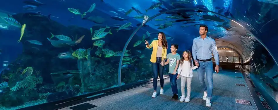 A Guide To Select The Best Sightseeing in Dubai
