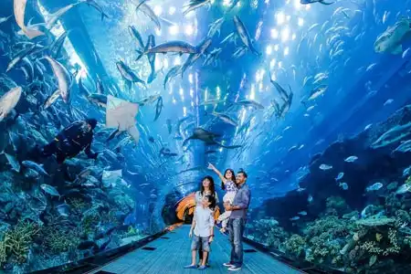 dubai aquarium ticket thumb