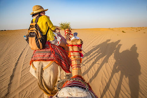 camel trekking dubai