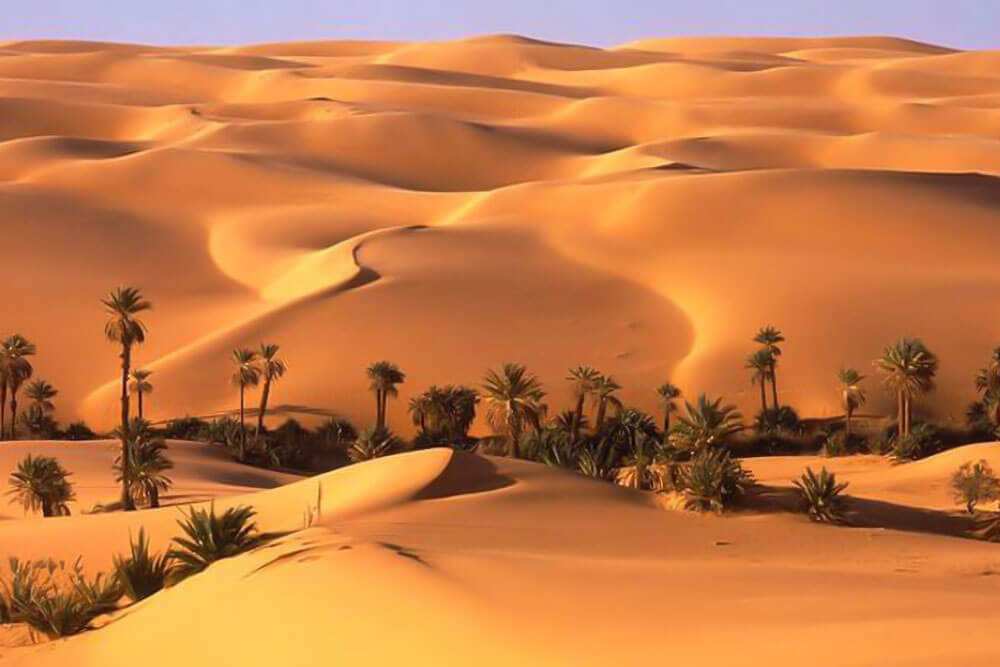 liwa desert safari from dubai