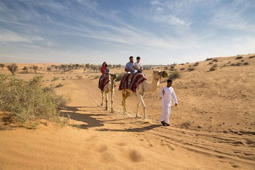 morning desert safari ras al khaimah