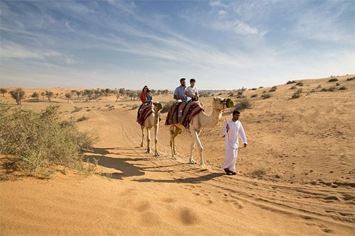 morning desert safari ras al khaimah