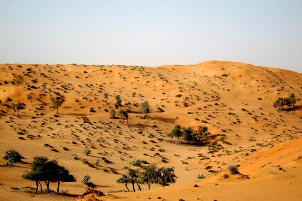 morning desert safari ras al khaimah