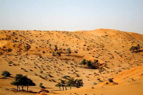 morning desert safari ras al khaimah