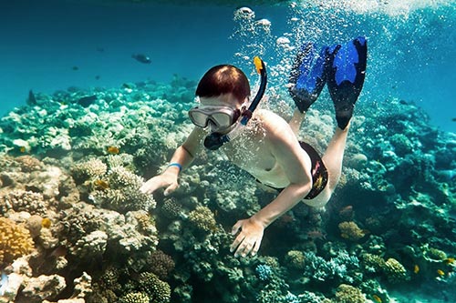 musandam dibba tour from dubai