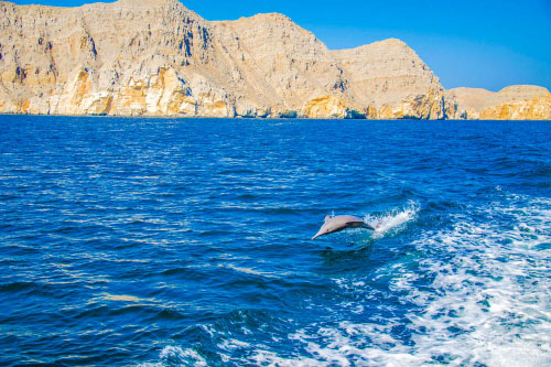 musandam khasab tour dubai