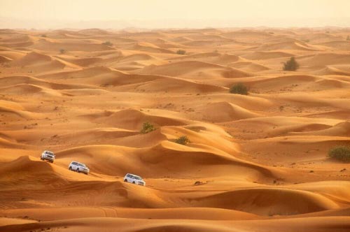 liwa desert safari from dubai thumb