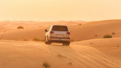 Morning Desert Safari