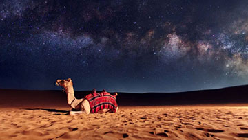 Overnight Desert Safari Dubai